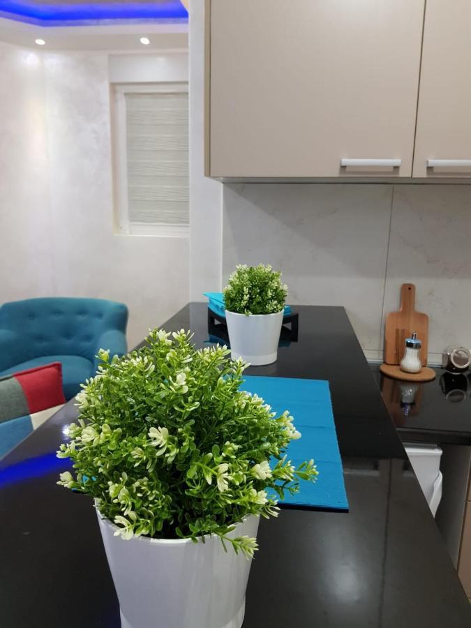 Apartmani Venera Belgrad Exterior foto